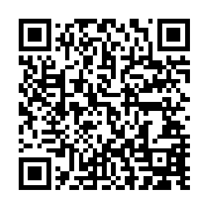 被分过来负责安置潘德拉人的年轻人是白露星的一名小警察二维码生成