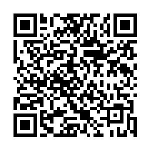 被剑尘戴在手指上的空间戒指突然散发出一层微弱的白光二维码生成