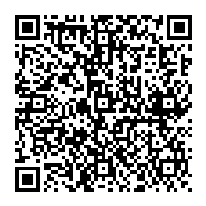 被剥夺了城市规划和土地用地等一系列权力的区这一级党委政府基本上就要沦为给市里打工帮闲的角色了二维码生成