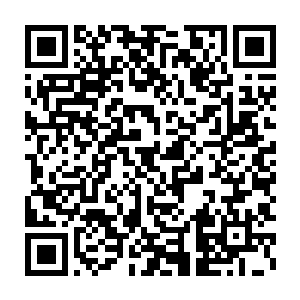 被勒令绝对不能乱丢乱动的一箱令天下读书人趋之若鹜的真迹字画二维码生成