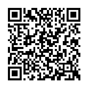 被十个踩着飞剑的仙人追的如同丧家之犬一样的二维码生成
