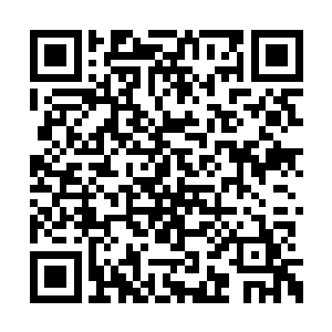 被压抑了几日的心情没有在蓝天碧水下释放出来二维码生成