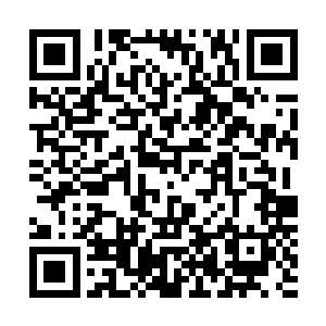 被参加过琅琊镇一战的那些高阶炼气期弟子拉去迎接许紫烟二维码生成