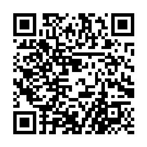 被反噬导致差点跌落境界的血魔神皇被攻击的狼狈不堪二维码生成
