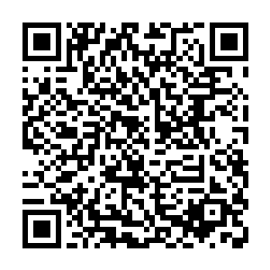 被叶家中年人拦在门外非让他们喝茶不让他们打扰到里面的爷孙俩的夜染几人二维码生成