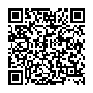 被后面那些疾驰而过的逃亡异兽大军活生生的踩死了二维码生成