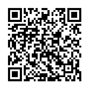 被吕轻尘连同五大至尊战堡一起带走的巨神兵数量并不多二维码生成