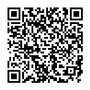 被咕仔放行的澹台璃进入房间关上房门后第一句就是先拍咕仔马屁二维码生成
