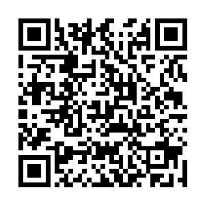 被唐劫一记断肠刀都未必能劈开的巨熊面对这狂野一拳二维码生成