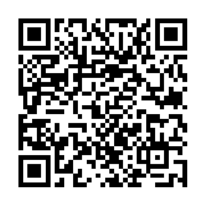 被困在杀阵内的四名血刀宗长老一个个都恨得咬牙切齿二维码生成