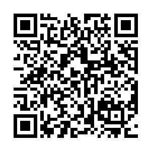 被困的六天里她已经知道今天就是萧晨和萧剑决斗之日二维码生成