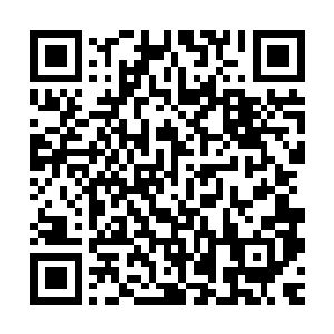 被地精们喊做鬼东西的罗林以扑击的姿态飞速朝地精母艇冲下去二维码生成