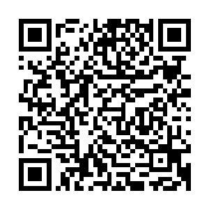 被地震震的摇摇晃晃的老酒鬼却慢条斯理的开始整理自己的头盔二维码生成