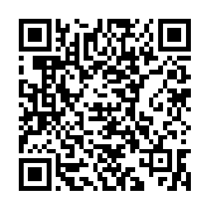 被塔尔塔罗斯重创的愤怒眼中也顿时闪过一丝精芒二维码生成