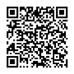 被太天界和碧央界的强者认为已经投靠了赤血界那边二维码生成