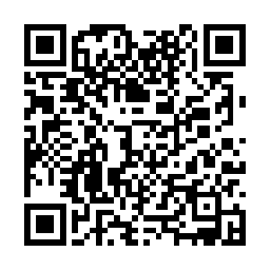 被套和枕套上都用银色丝线绣满了姿态各异的蝴蝶二维码生成