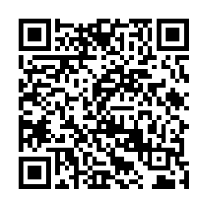 被女主或者女主的男人折磨的不要不要的……想想就恐惧二维码生成