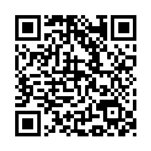 被妙可这老气横秋的小大人模样给震到了二维码生成