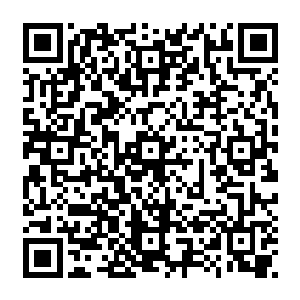 被它改造的精简缩小的花朵忽然有一侧的从那宽而精致如金属匕首的叶片下探出头来二维码生成