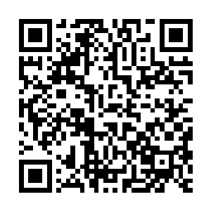 被安排到了高级套房之中过后靳空便是重击了一下桌面然后说道二维码生成