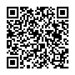 被定王府发现意味着她所有的筹谋都已经彻底结束了二维码生成