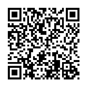 被封闭了前路的玩家正好会被光脚哥堵在走廊上二维码生成