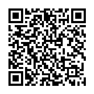 被岩壁挡在后方的德尔哈根本看不见岩壁前方发生了什么二维码生成