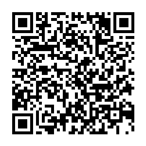 被带入通道的众人浑浑噩噩间只感觉到无数负面情绪不停冲击着己身二维码生成