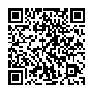 被强制剥离驱逐出去的七彩灵力在流墨墨身后凝聚成一团灵气云二维码生成