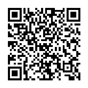 被当成了养肥就可以杀的猪的感觉真的是非常不好二维码生成
