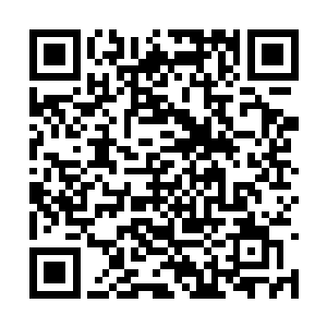 被彼得救出来的那些人一定会把这些事情到处宣扬二维码生成