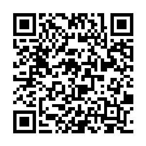 被心脏部位传来的剧痛折磨得浑身上下都抽搐了起来二维码生成