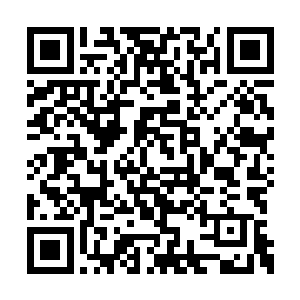 被恐怖机器人撕裂的伤口仍旧渗透着鲜血和体液二维码生成