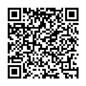 被惊动的王者和大巫纷纷使用各种方法来抵御这种自然侵袭二维码生成