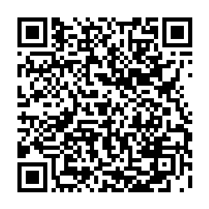 被我用砖头准准拍在脸上的那个家伙这时候还半躺在地上晕乎乎地扶着脑袋二维码生成