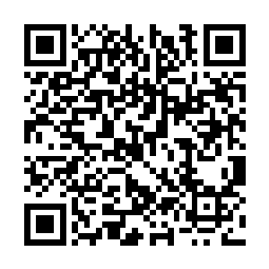 被我紧紧抱在怀里的小秋这时候竟然变成了白奇雪二维码生成