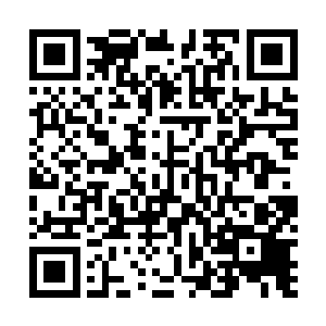 被打断的右臂就像是暗器一样直接砸在了夏天的手腕之上二维码生成