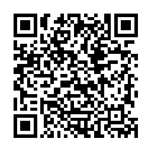 被抛向黑蛟蛛的两个弟子半空中不得不把法器对着黑蛟蛛二维码生成