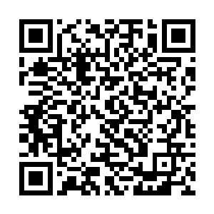 被拉蒂西娅演的这部莫名其妙的丧尸片给笑翻了而已二维码生成