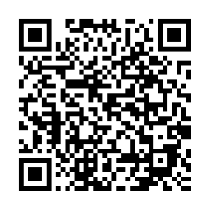 被拦截住的两个符神主和三个符神帝自然明白没有他们的加入二维码生成