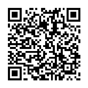 被挂在天花板上的传奇强者们都倒吸了一口凉气二维码生成