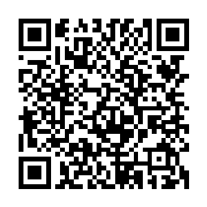 被捂着嘴叫都叫不出来的灰鼠庞德不可置信的低头看着自己右手二维码生成