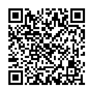 被捕捞了上去……这一切幽深中透着神秘的绚丽二维码生成