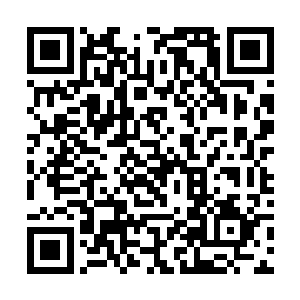 被推开的手在情绪的波动下于身侧止不住一寸寸握紧二维码生成