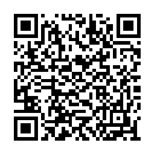 被撕成两半的宣纸仿若齑粉一般在刘宇手中散开二维码生成