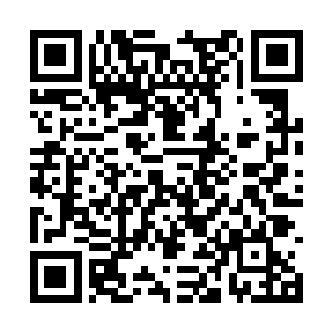 被放上地毯的两个孩子并不如普通抓周礼上的孩童二维码生成