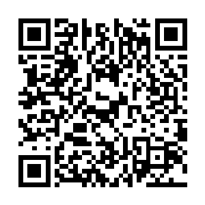 被施加了嗜血之术的村民们体表处的血光愈发暗淡二维码生成