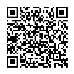 被族人视为战无不胜攻无不克的族长大人愣住了二维码生成