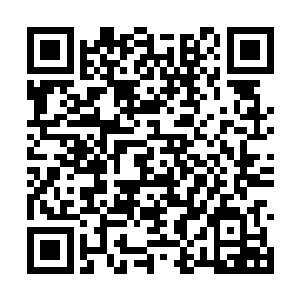 被束缚住的传奇强者们的脸上也露出了绝望的神色二维码生成