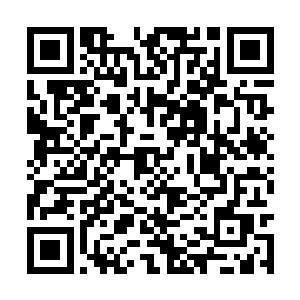 被架在火堆上烧烤的魔兽肉就发出一股芬香的气味二维码生成